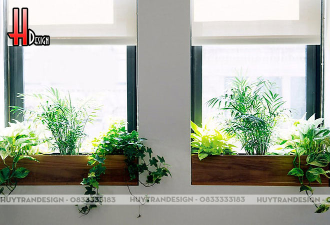 Trang trí bệ cửa sổ bằng cây xanh - thiết kế nội thất, thiết kế sân vườn tiểu cảnh - Huytrandesign tư vấn, thiết kế, thi công nội thất, ngoại thất đẹp tại Long Biên, Hà Nội - v1